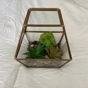 Succulent Terrarium